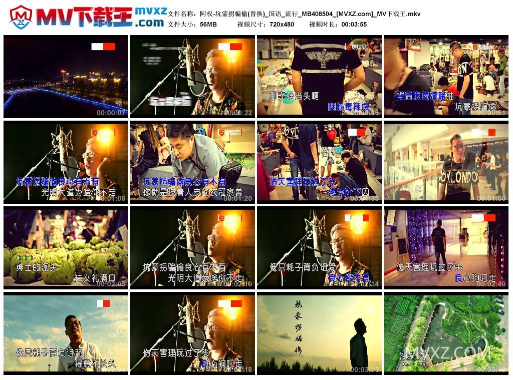 阿权-坑蒙拐骗偷(替换)_国语_流行_MB408504